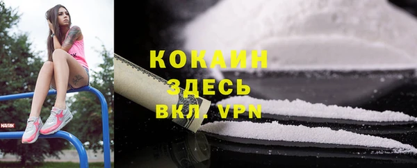 дмт Алексеевка
