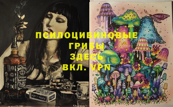 дмт Алексеевка