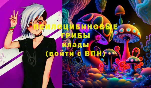 амф Алексин