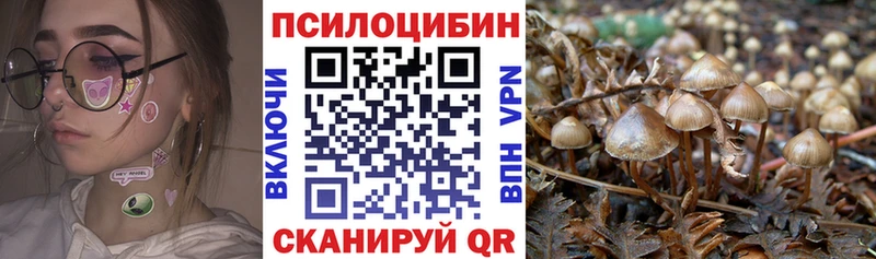 Галлюциногенные грибы Psilocybine cubensis наркошоп darknet формула Ермолино